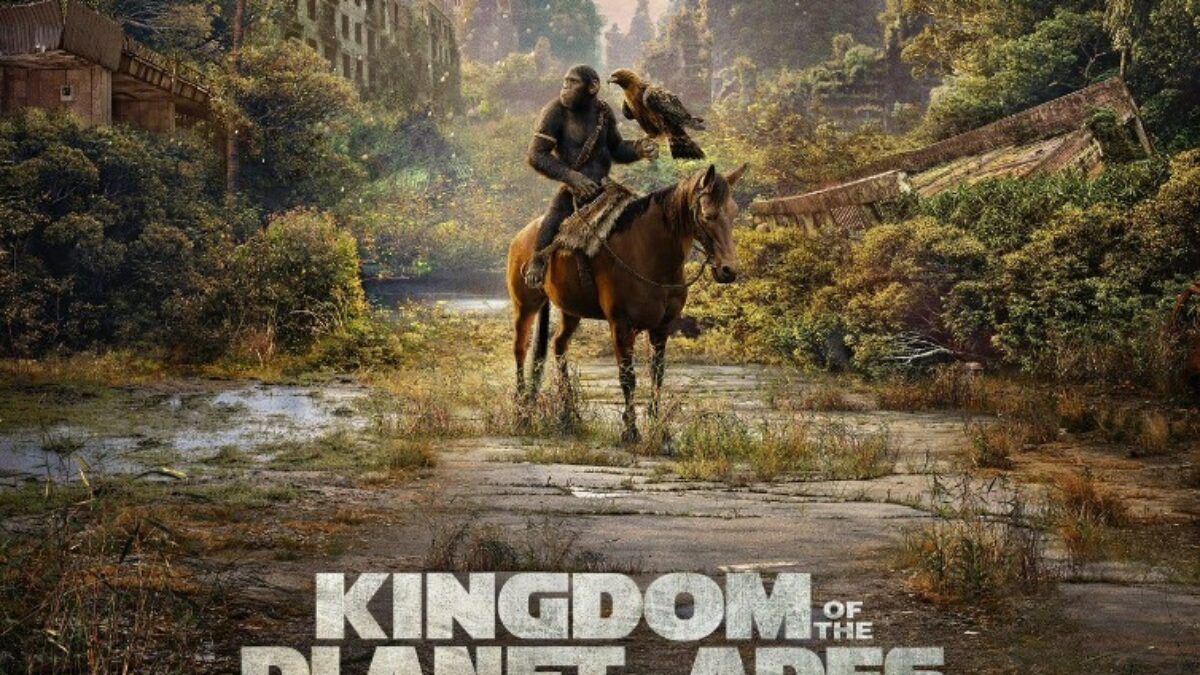 WhatsApp Image 2024 05 10 at 10.02.15 AM 1