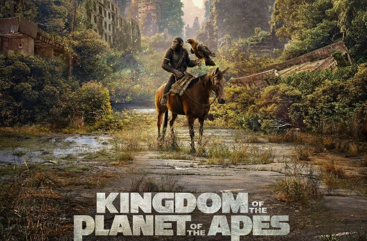 WhatsApp Image 2024 05 10 at 10.02.15 AM 1