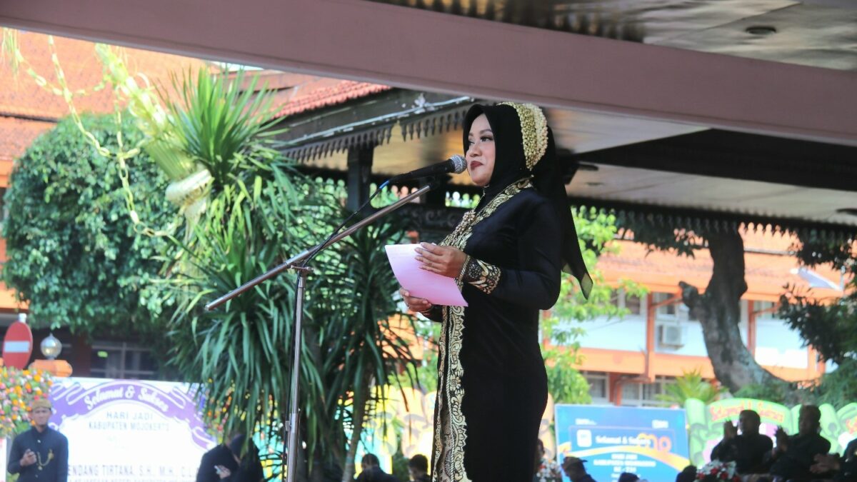 WhatsApp Image 2024 05 10 at 12.13.10 PM