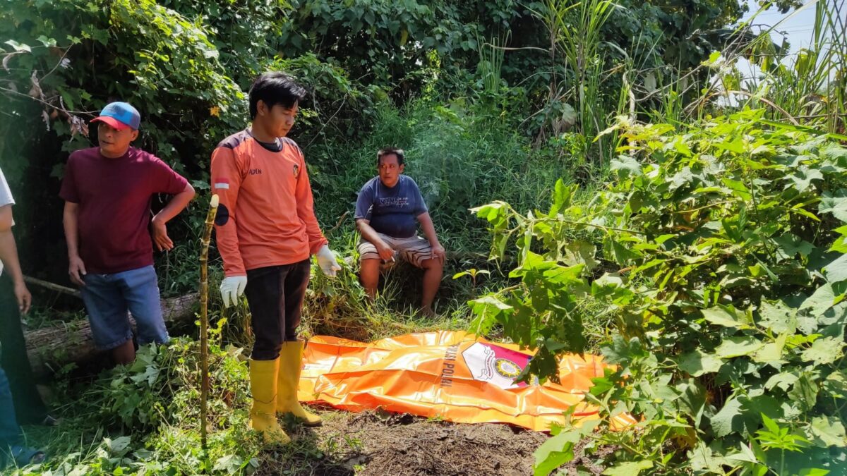 WhatsApp Image 2024 05 13 at 1.13.39 PM