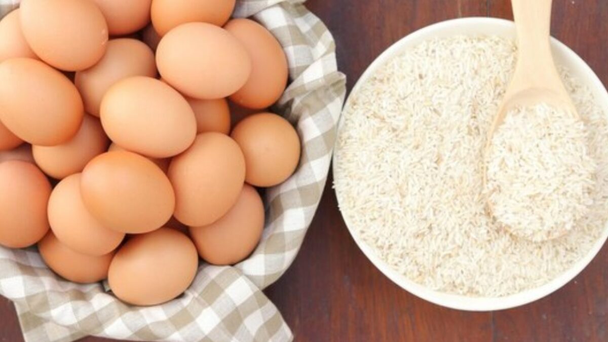 WhatsApp Image 2024 05 15 at 11.18.46 AM