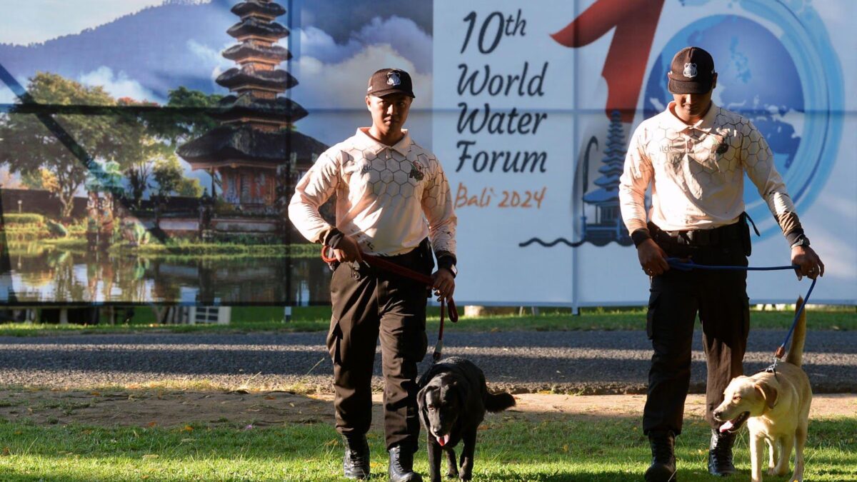 WhatsApp Image 2024 05 15 at 9.20.08 AM