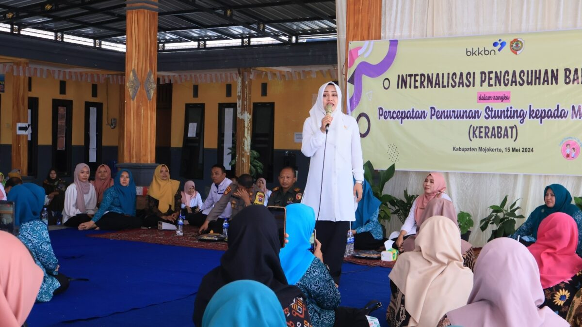 WhatsApp Image 2024 05 17 at 3.50.01 PM