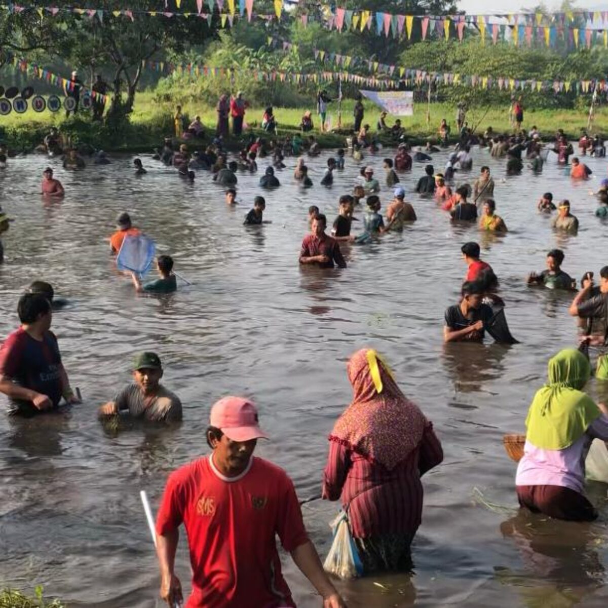 Tradisi Bedah Sumber, Ratusan Warga Ngoro Tangkap Ikan dengan Jaring