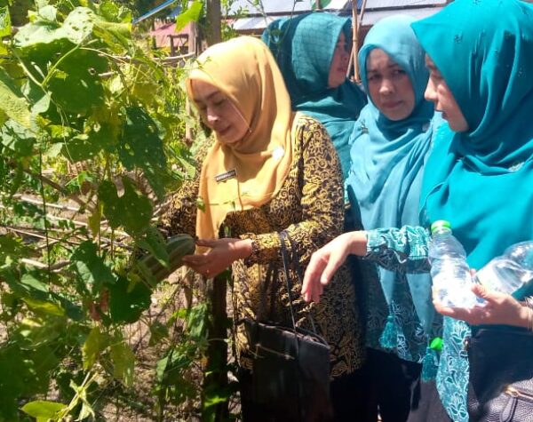 Tim Monitoring TP PKK Sumut Kunjungi Desa di Madina, Ini Sarannya