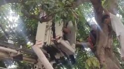 Petugas Damkar dan Dishub Evakuasi Warga yang Tersangkut di Pohon Mangga Pakai Mobil Crane