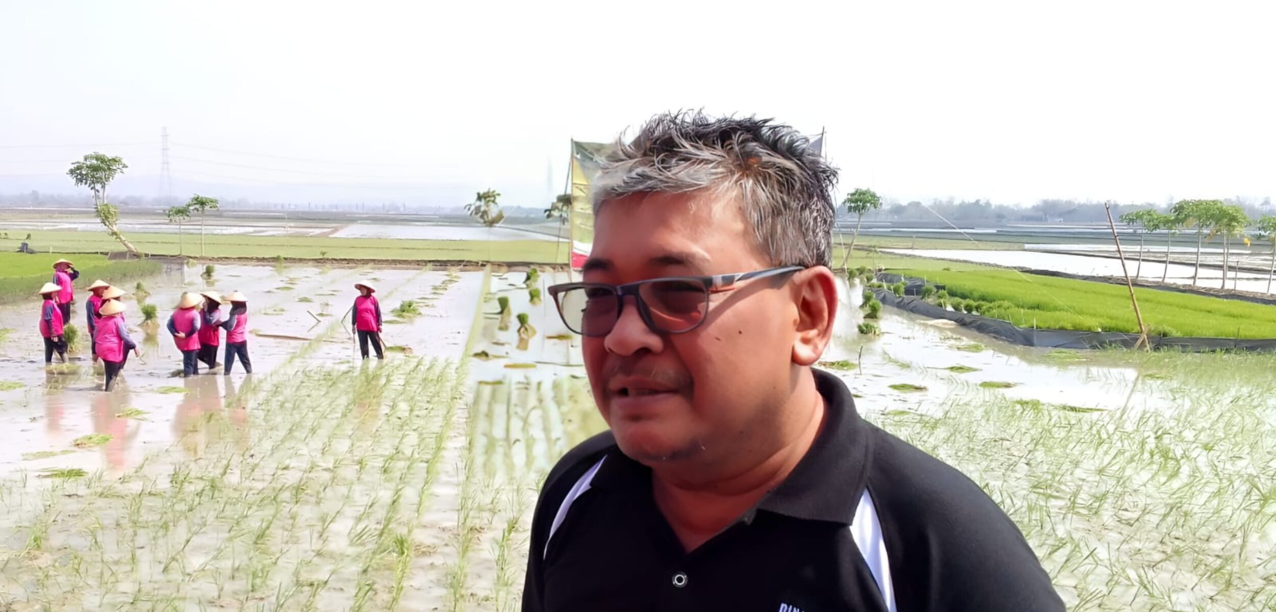 Kepala Dinas Pertanian Grobogan, Sunanto (masrikin/kabarterdepan.com)