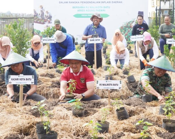 Tekan Inflasi Daerah, Pemkot Batu Kembali Gelar Gerakan Tanam Cabai