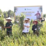 Pj Wali Kota Batu bersama Forkopimda dan Kelompok Tani, saat melaksanakan panen raya padi di Desa Pendem. (Yan/kabarterdepan.com)