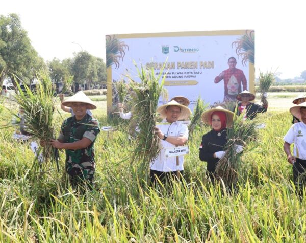 Panen Raya Padi di Desa Pendem, Pj Wali Kota Batu : Petani Adalah Pahlawan di Bidang Pangan