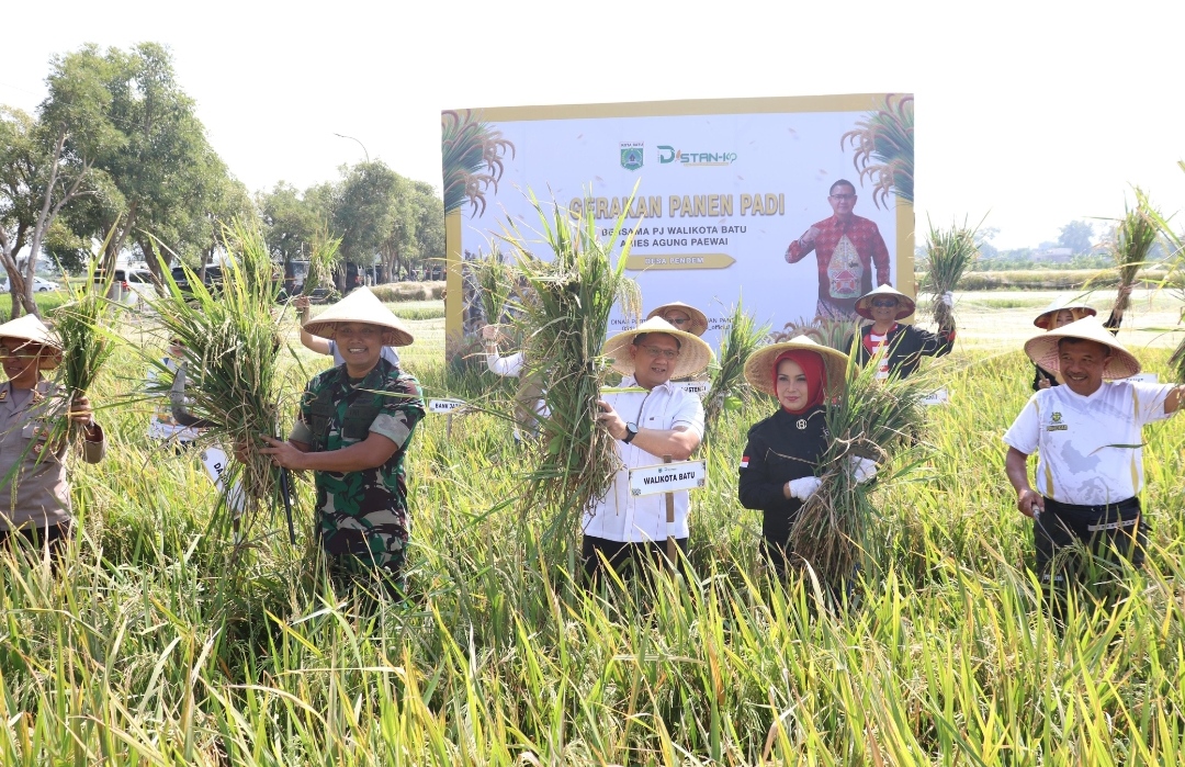 Pj Wali Kota Batu bersama Forkopimda dan Kelompok Tani, saat melaksanakan panen raya padi di Desa Pendem. (Yan/kabarterdepan.com)