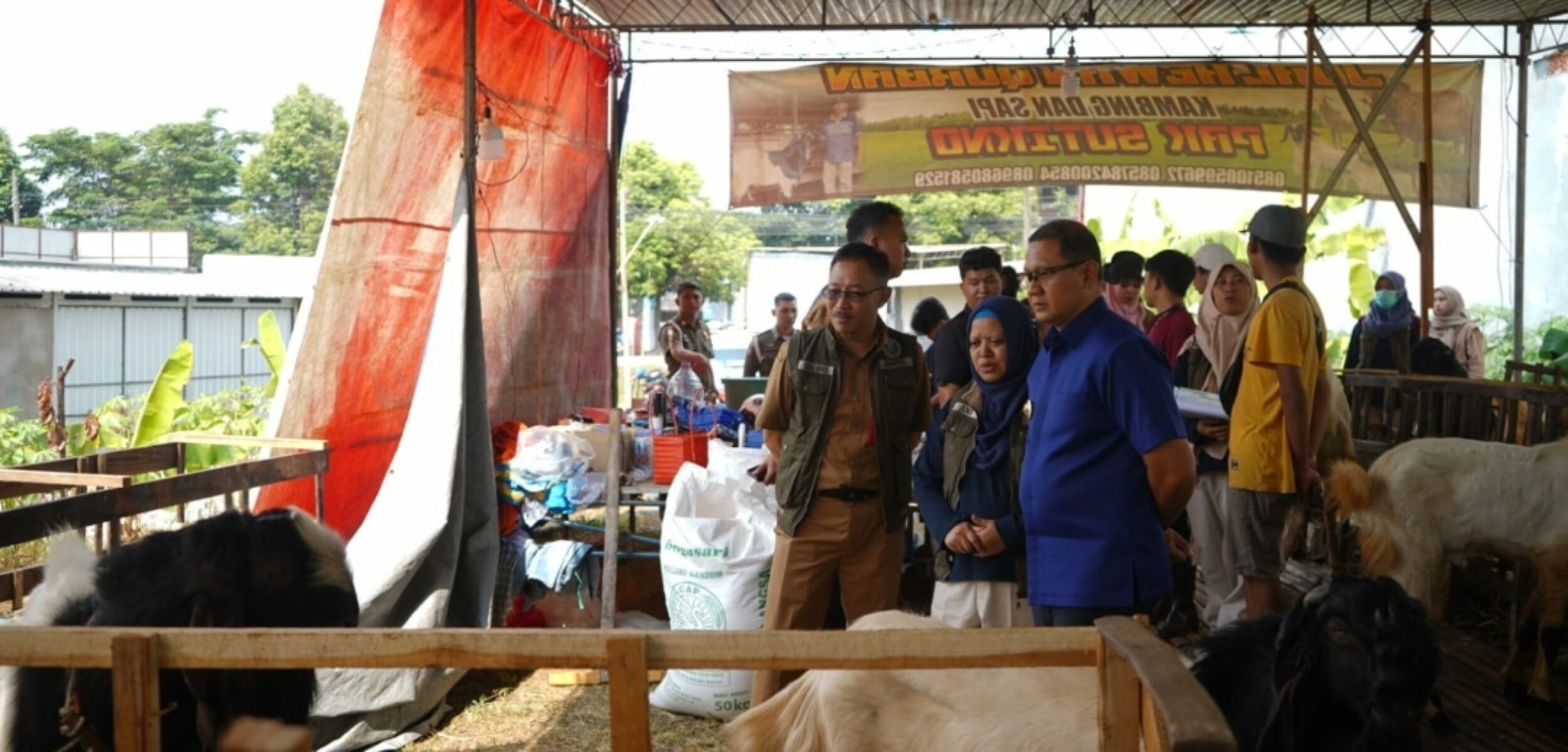 Pj. Wali Kota Batu Aries Agung Paewai, saat tengah melakukan pengecekan hewan kurban untuk memastikan kesehatan sehingga aman untuk dikonsumsi. (Yan/kabarterdepan.com) 