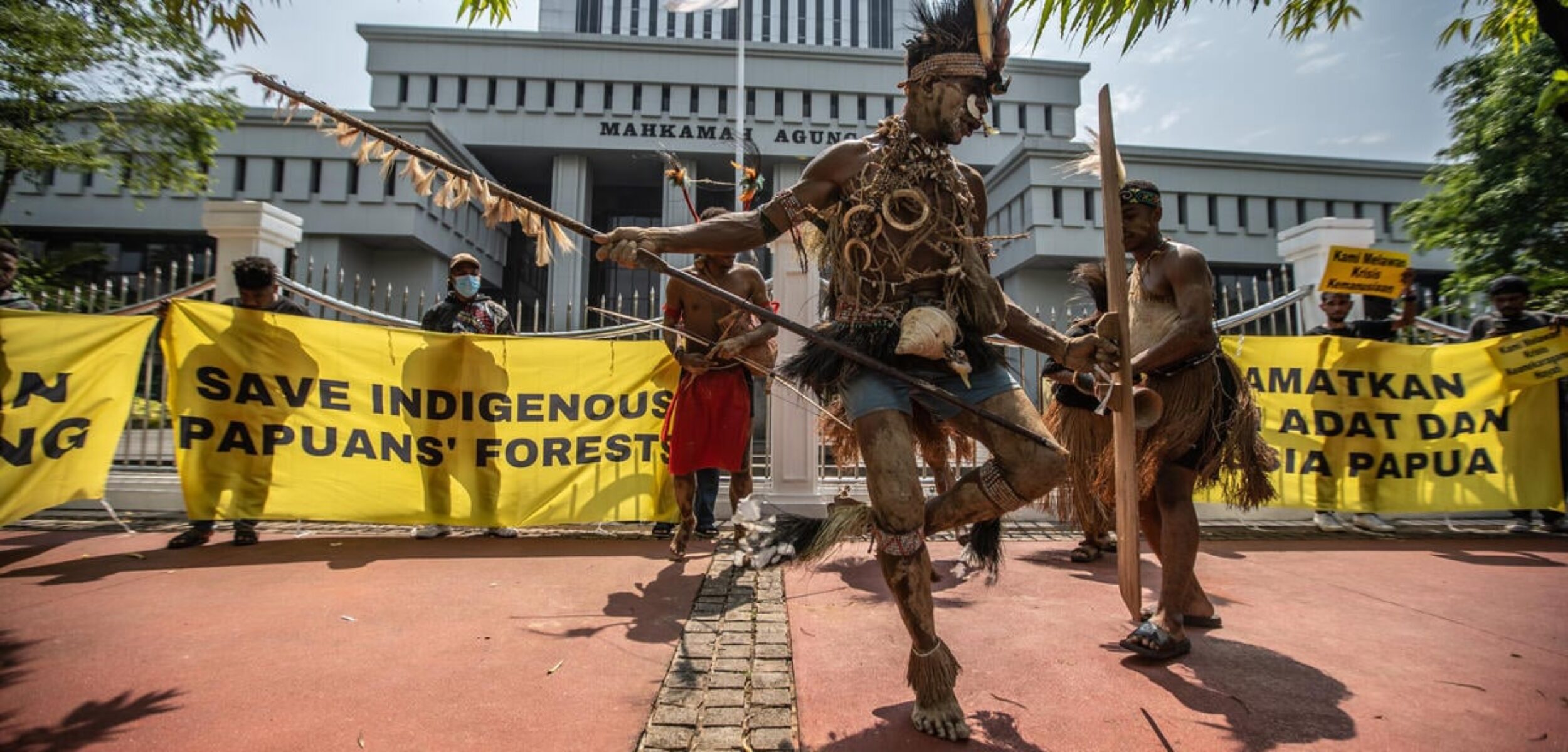 Kekayaan Tanah Adat Papua, Warisan Budaya dan Alam yang Tak Ternilai