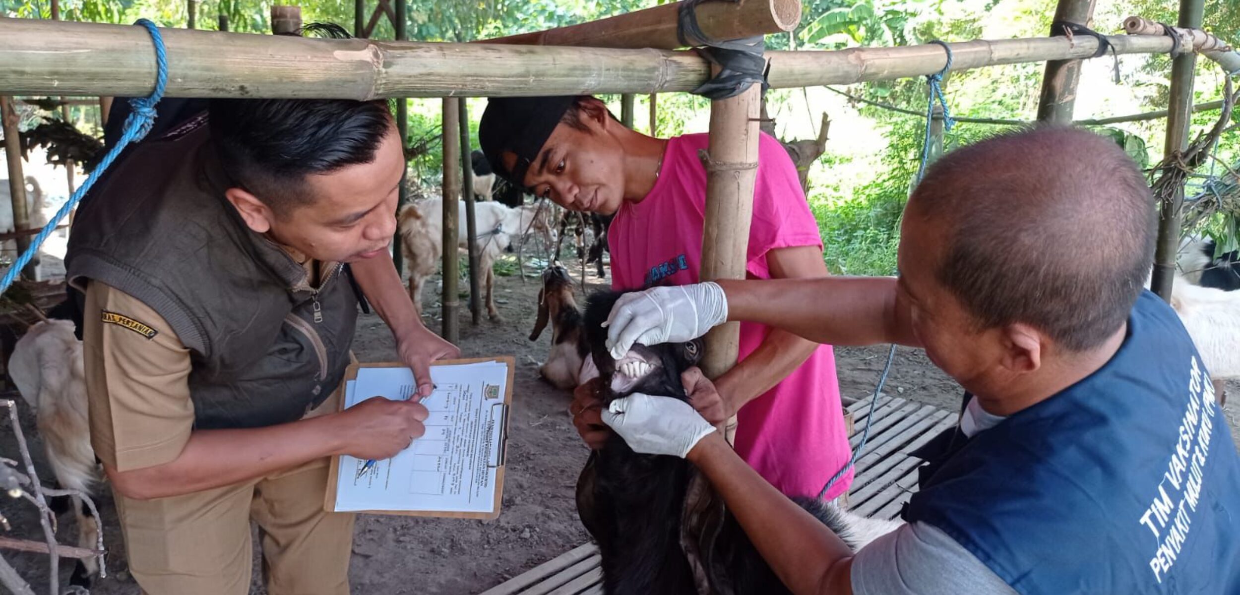 WhatsApp Image 2024 06 13 at 12.23.54 PM