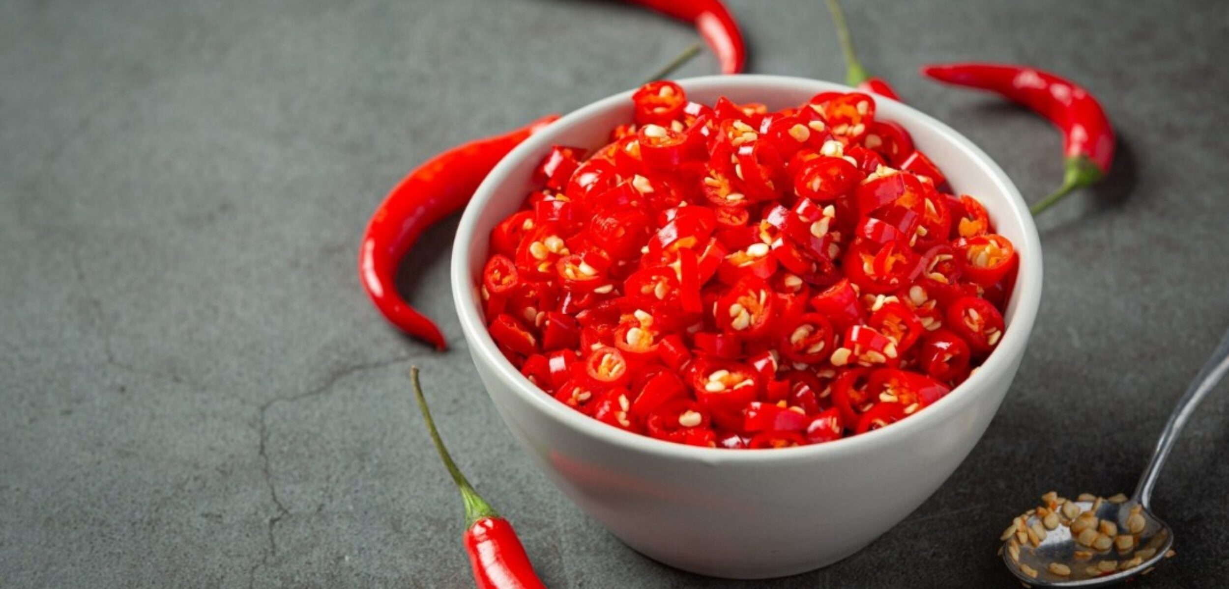 WhatsApp Image 2024 06 26 at 11.37.59 AM