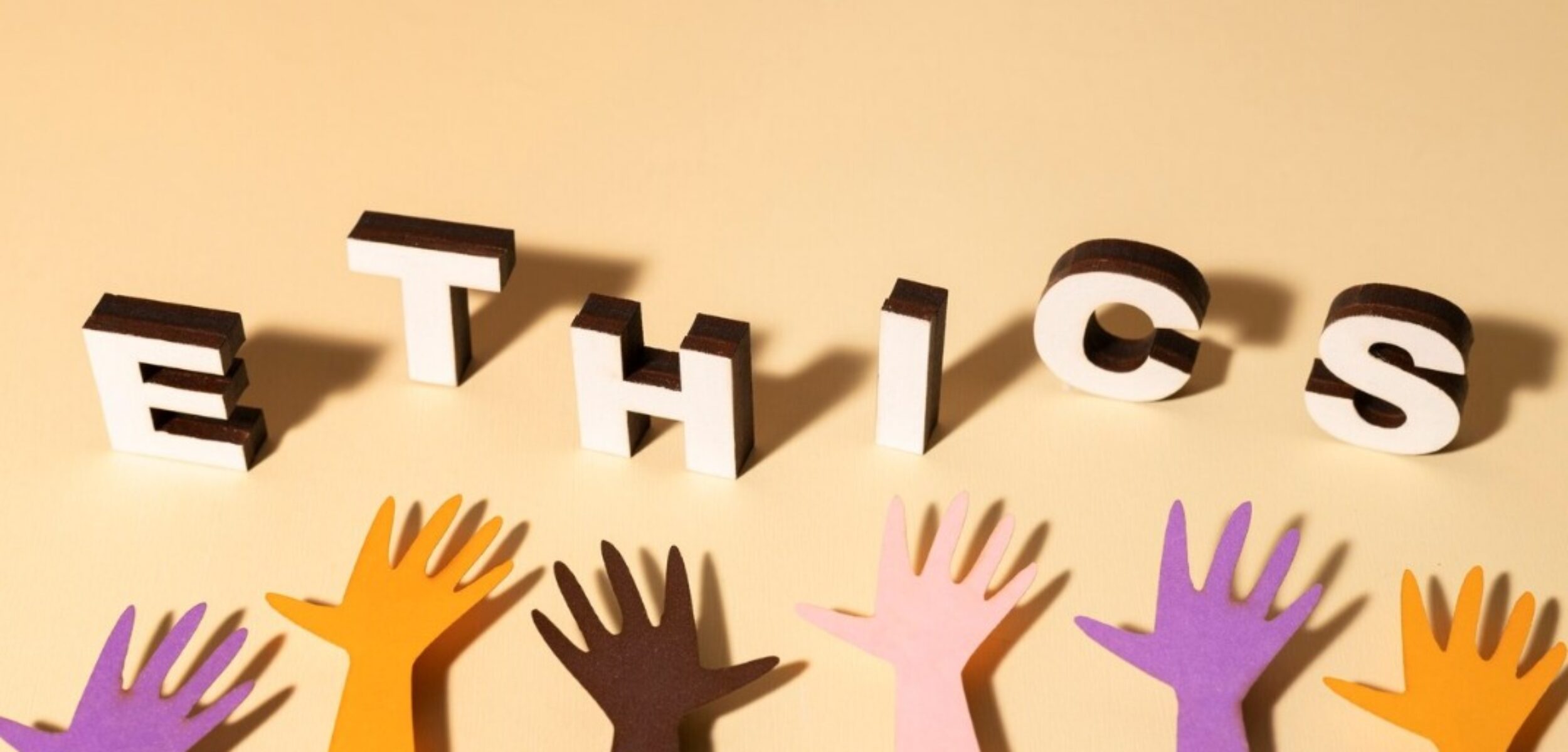 WhatsApp Image 2024 06 26 at 3.45.19 PM