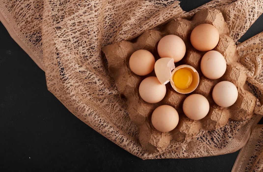 WhatsApp Image 2024 06 27 at 9.40.40 AM