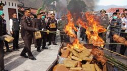 HUT Ke-78 Bhayangkara, Polres Mandailing Natal Musnahkan 140 Kg Ganja Kering