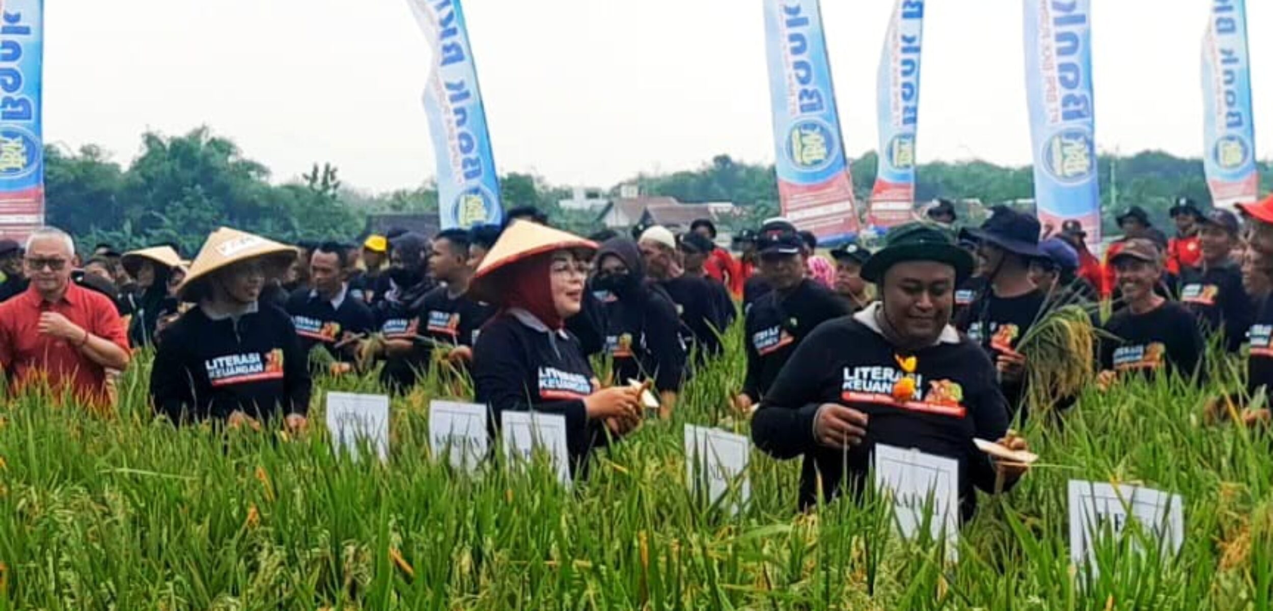 Forkominda Grobogan mengikuti petik padi menggunakan Ani Ani pecahkan rekor muri dunia (Masrikin/kabarterdepan.com)