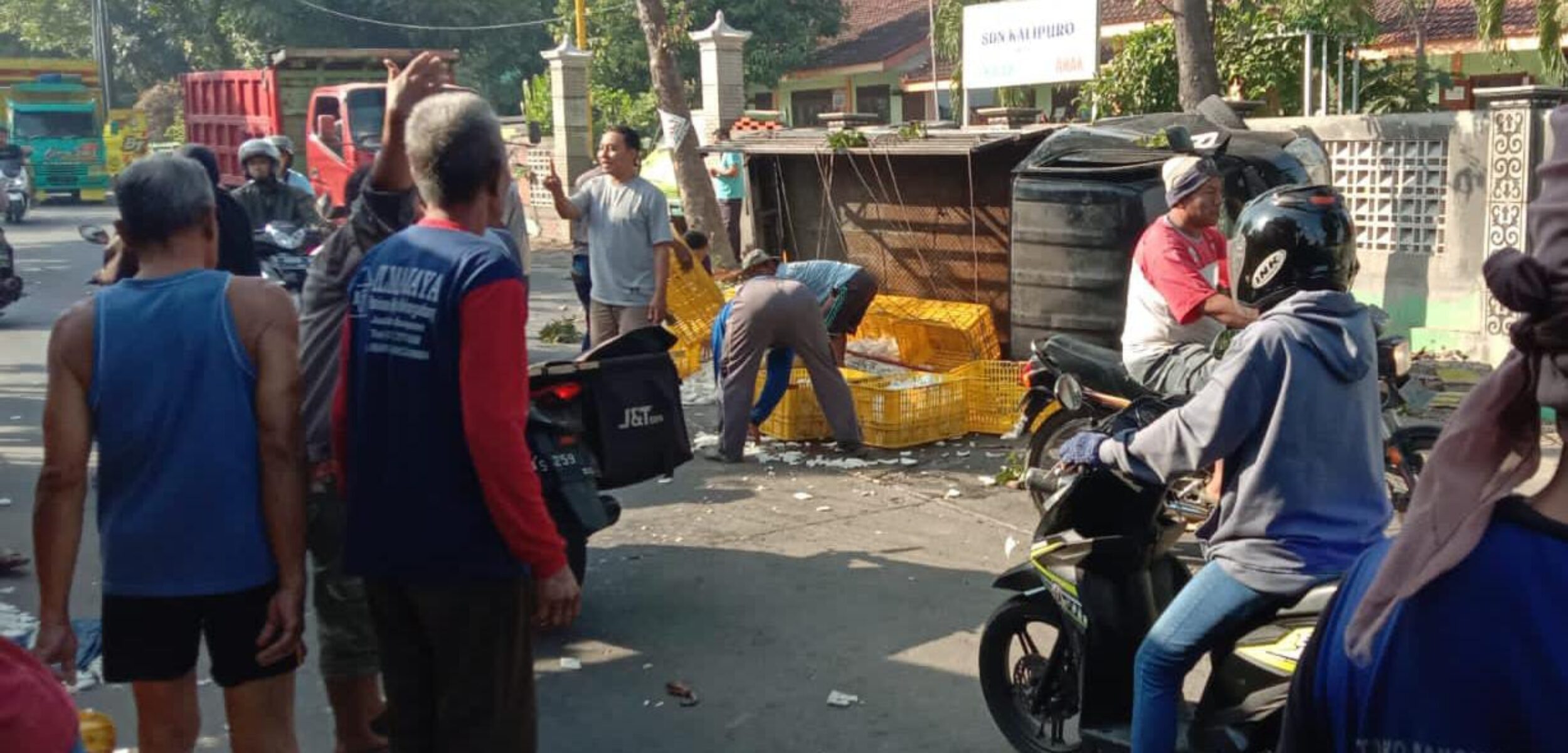 Diduga Menyalip Truk dan Oleng, Pikap Bermuatan Kelapa Terguling di Mojokerto