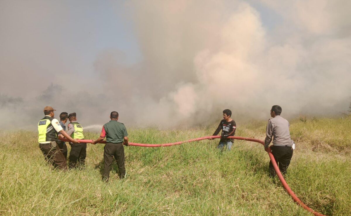 Petugas berusaha memadamkan api di 2 lahan kosong, Selasa (16/7/2024) siang (Andy / Kabarterdepan.com)