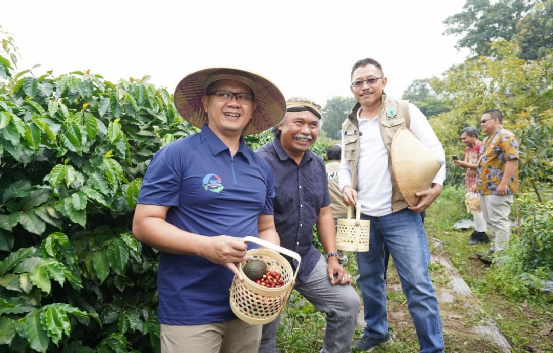 Pj Wali Kota Batu Panen Hasil Pertanian dan Serahkan Bantuan untuk Gapoktan. (Yan/kabarterdepan.com) 