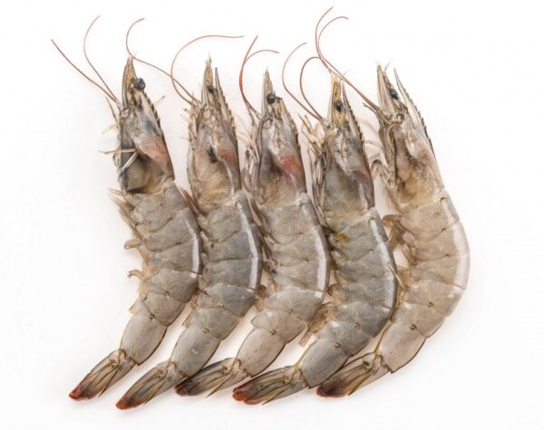 Update Harga Bahan Pokok di Mojokerto Hari Ini, Udang Alami Kenaikan