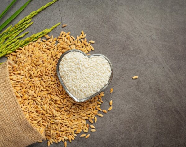 Beras 64 Premium Naik Harga di Mojokerto Hari Ini, Berikut Data Bahan Pokok Lengkapnya