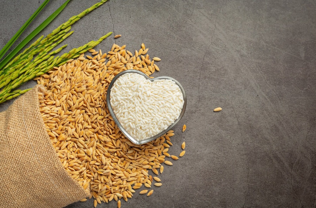 WhatsApp Image 2024 07 22 at 11.03.38 AM