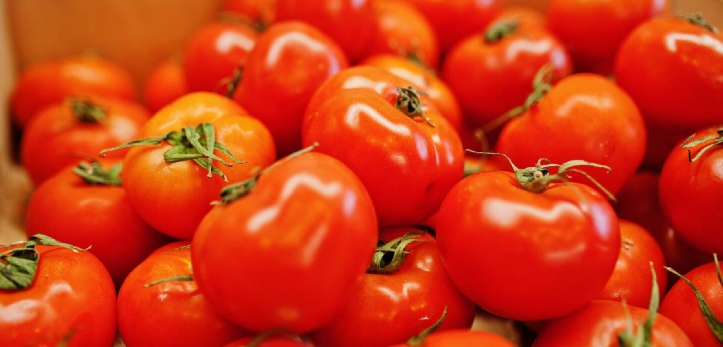 WhatsApp Image 2024 07 22 at 9.56.41 AM 1 Ilustrasi bahan pokok tomat (Freepik)