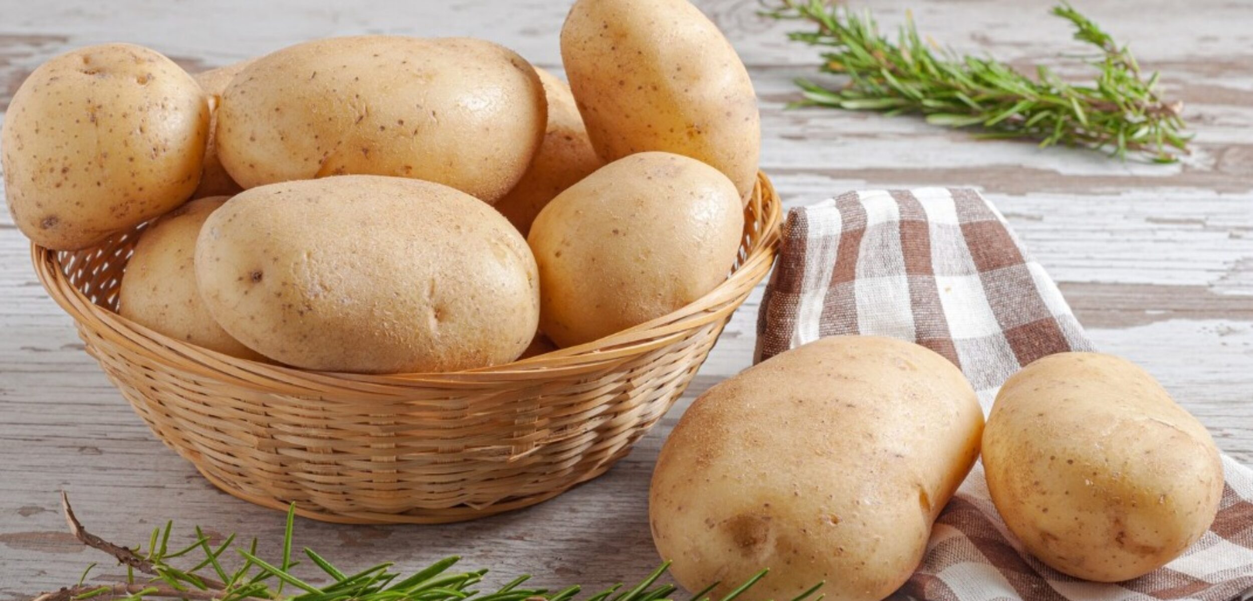 WhatsApp Image 2024 07 24 at 9.39.12 AM