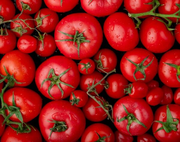 Update Harga Tomat Terbaru Se-Jawa Timur, Dibanderol Rp 9.000 di Batu