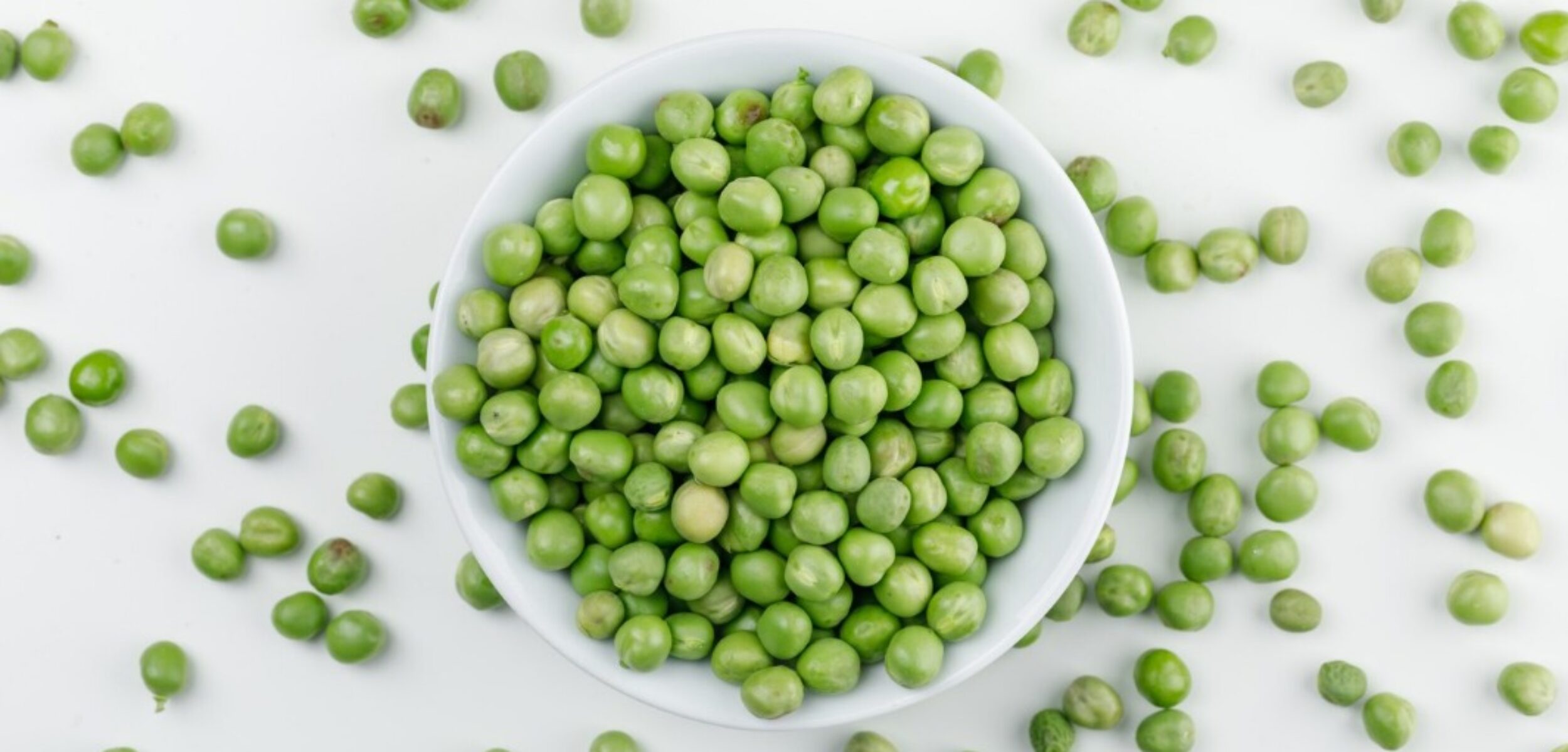 WhatsApp Image 2024 07 26 at 10.05.06 AM 1 WhatsApp Image 2024 07 26 at 10.05.06 AM