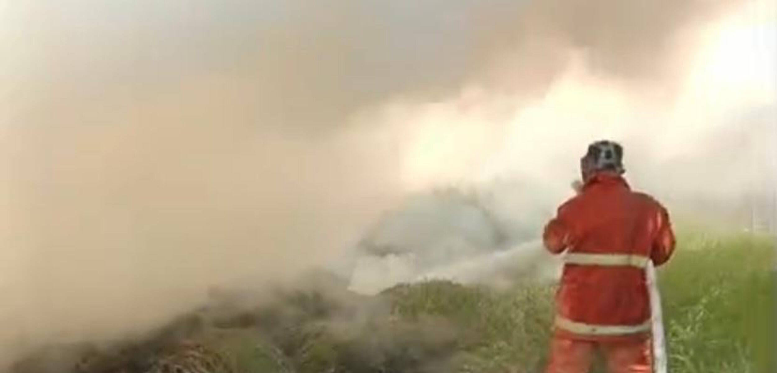 WhatsApp Image 2024 07 26 at 3.40.16 PM