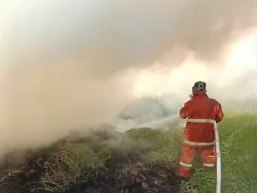 WhatsApp Image 2024 07 26 at 3.40.16 PM