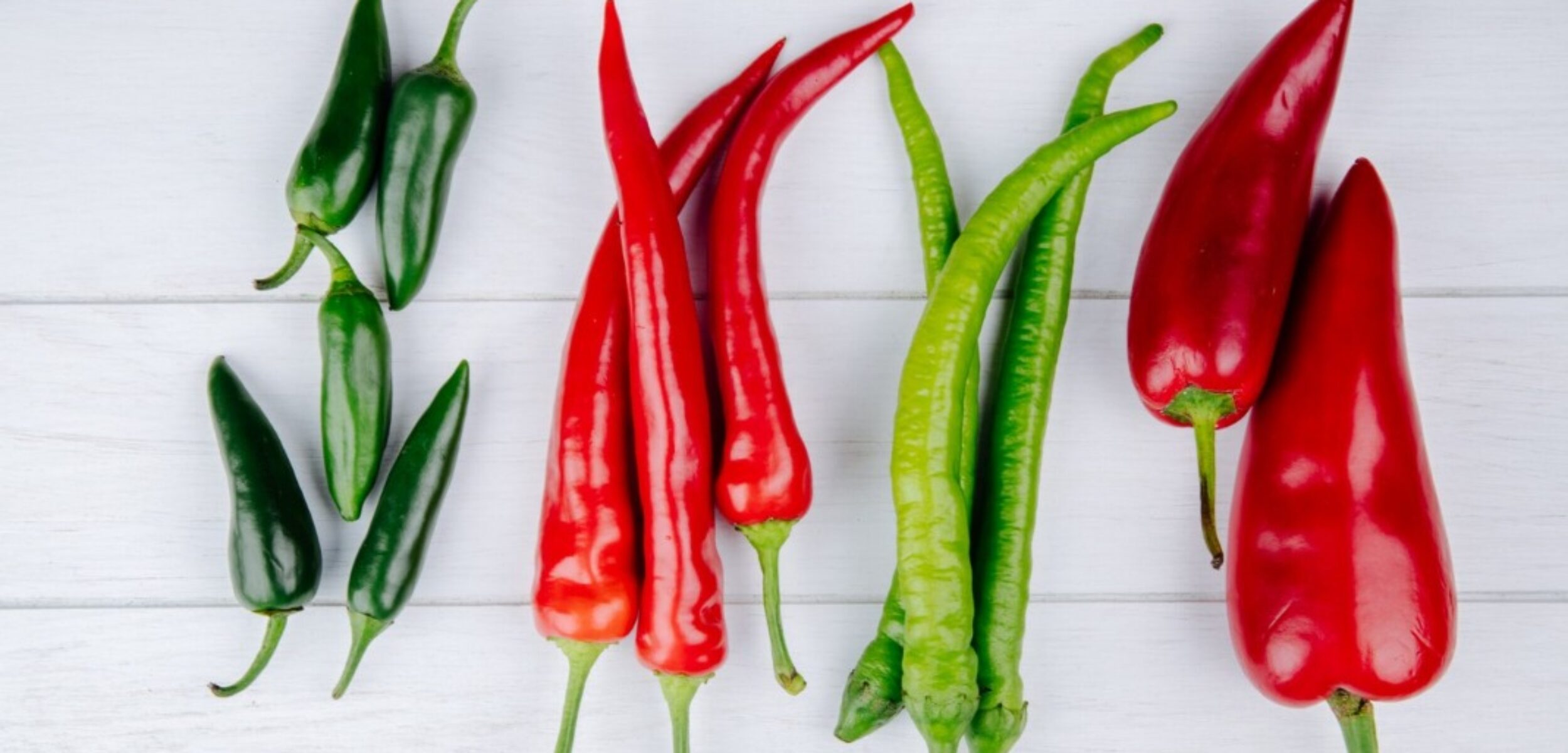 WhatsApp Image 2024 07 27 at 11.35.47 AM