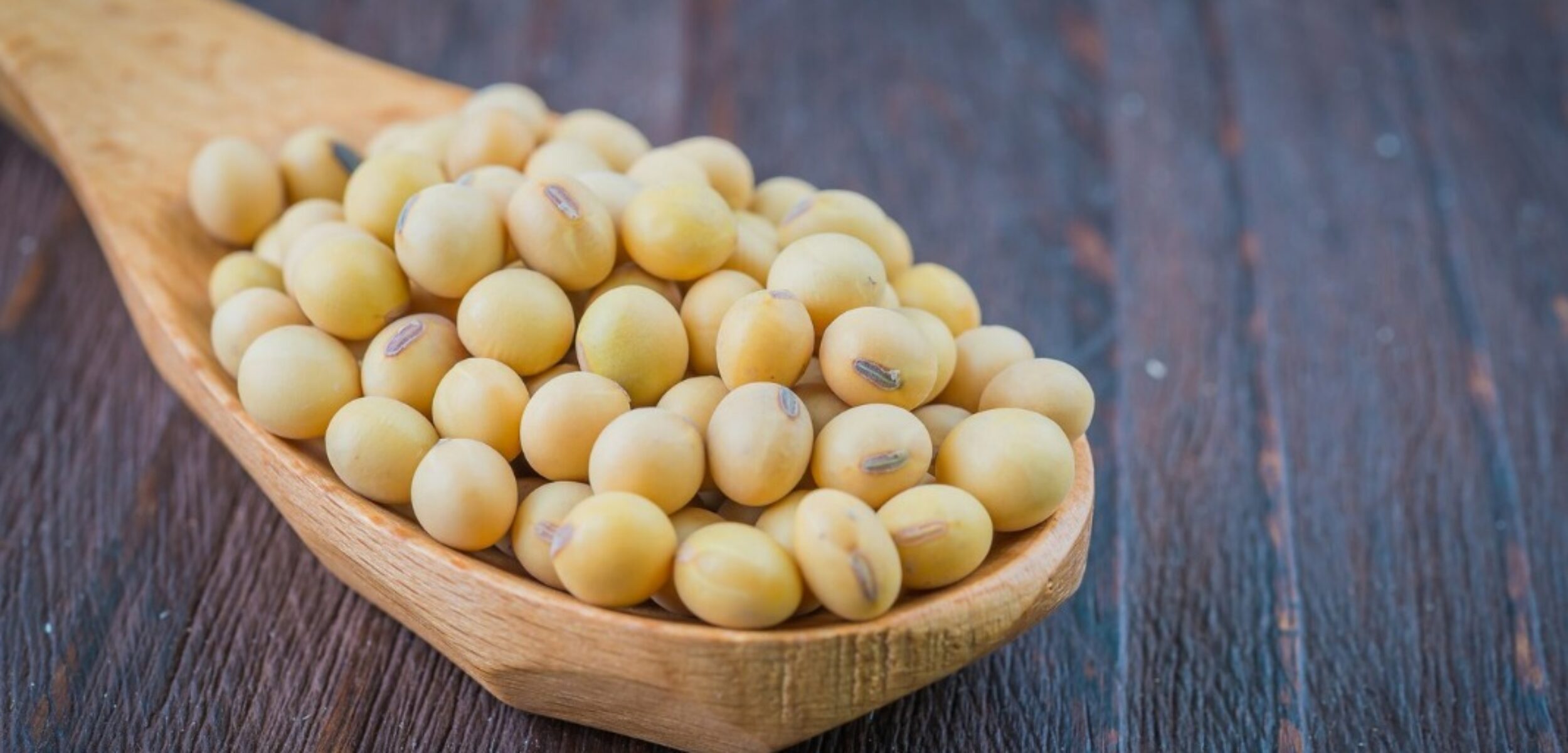 WhatsApp Image 2024 07 31 at 9.36.47 AM