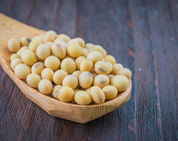 Update Harga Komoditas Kacang Kedelai Se-Jawa Timur, Rata-rata Dibanderol Rp 13 Ribu