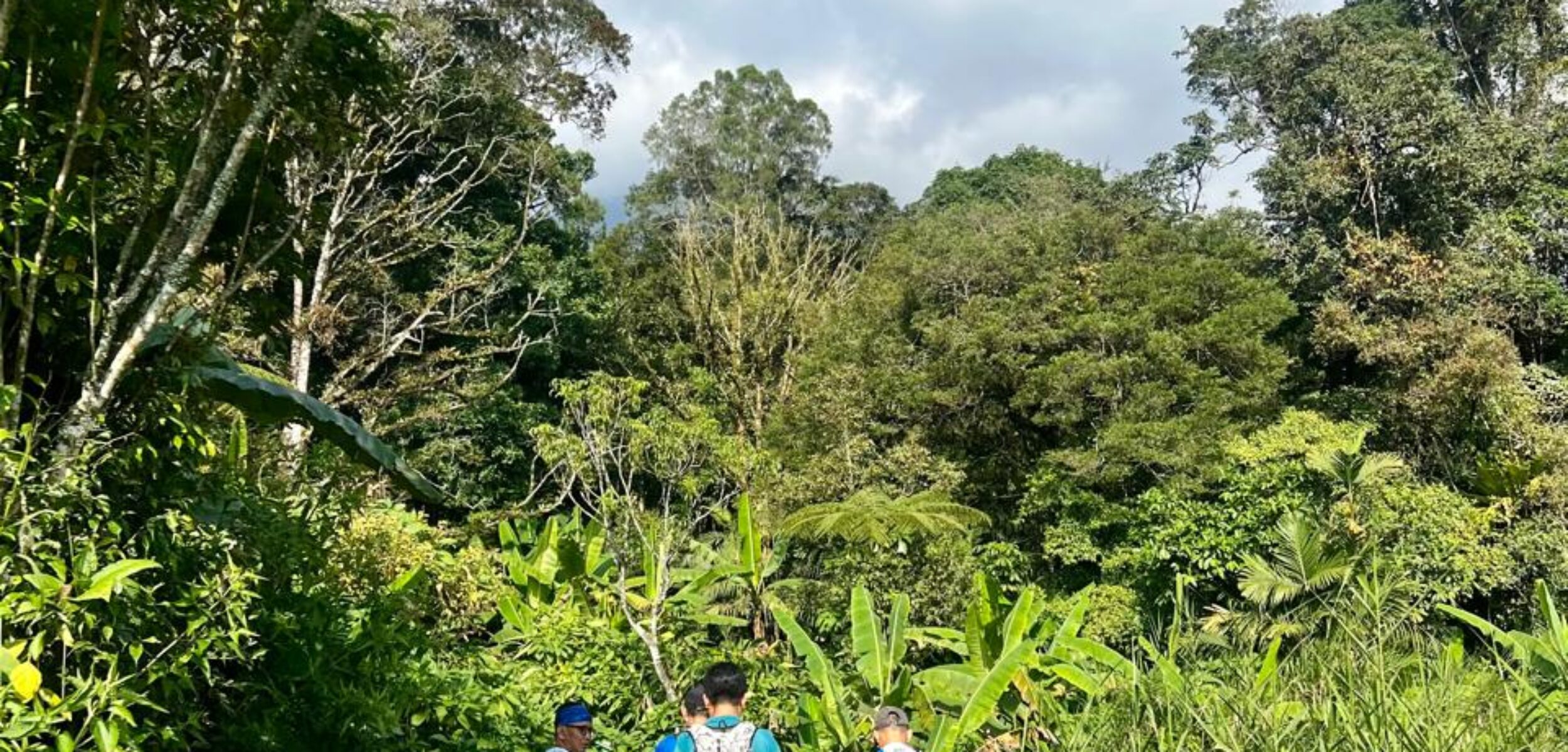 lari di gunung gede turun putri 1