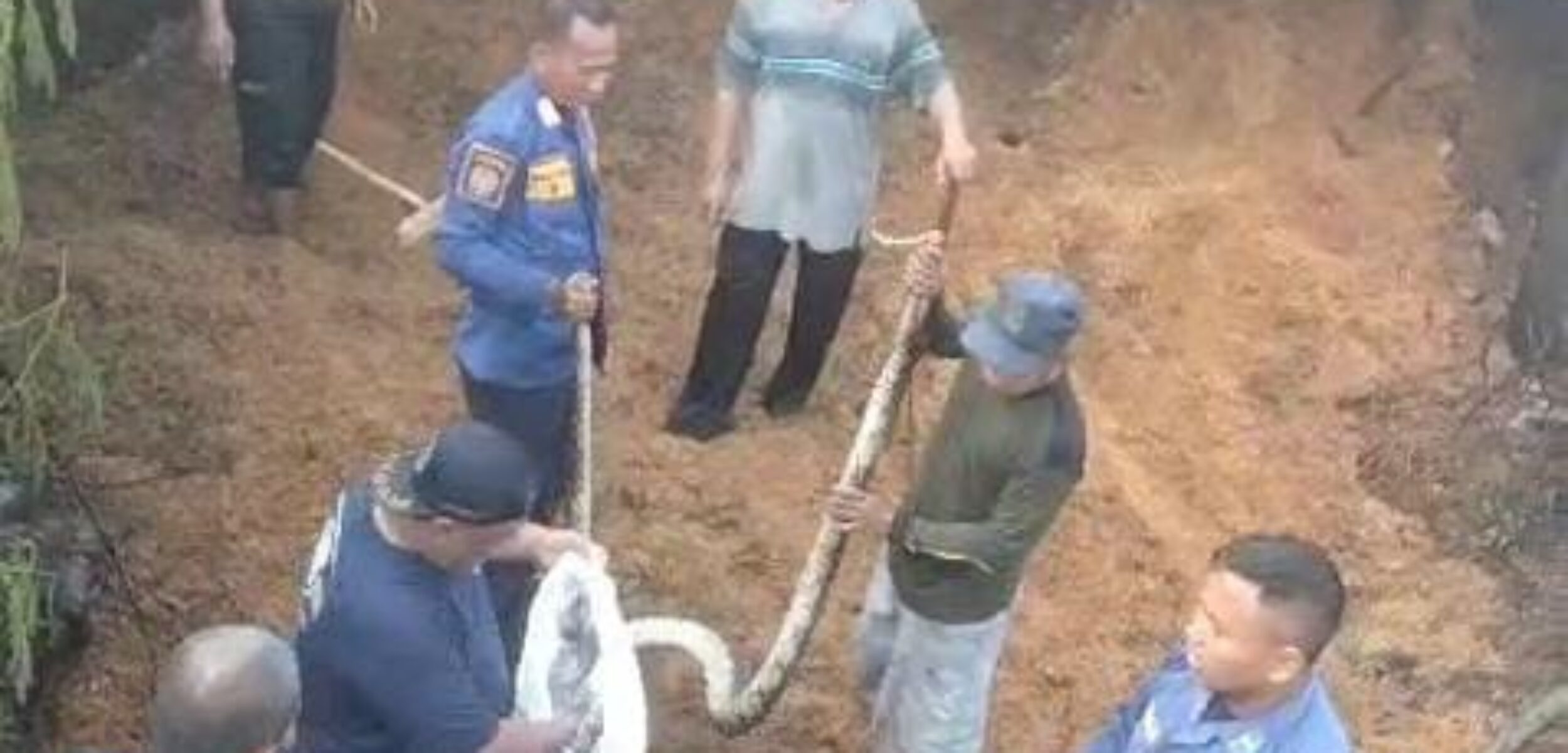 Saat Padamkan Lebaran Blower Pabrik di Jatirejo, Petugas Damkar Evakuasi Ular