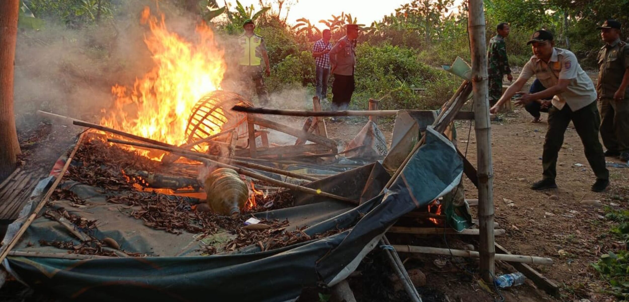 Petugas Gabungan Bakar Arena Judi Sabung Ayam Yang Resahkan Warga di Sooko