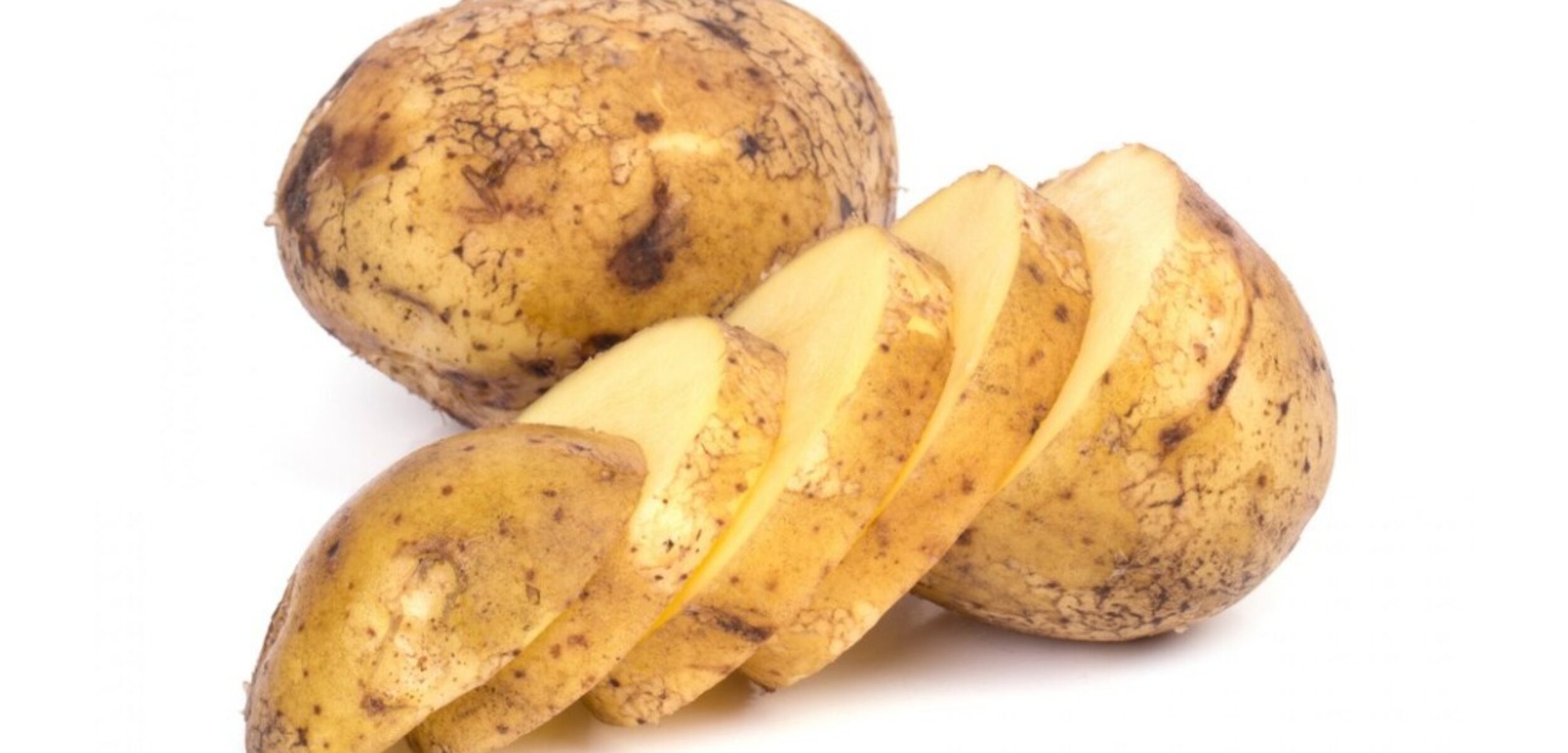 WhatsApp Image 2024 08 01 at 8.39.23 AM