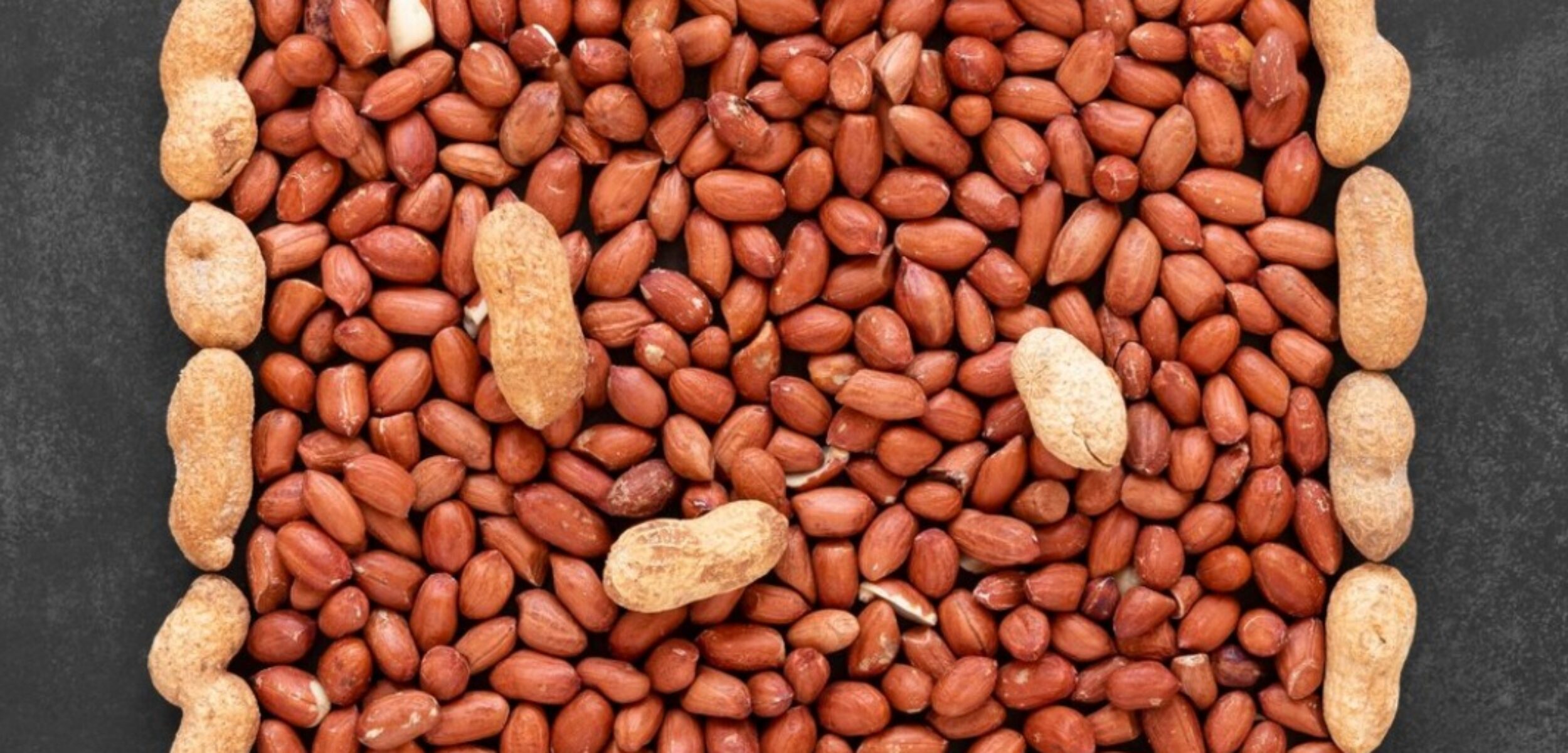 WhatsApp Image 2024 08 03 at 8.33.12 AM 1 WhatsApp Image 2024 08 03 at 8.33.12 AM