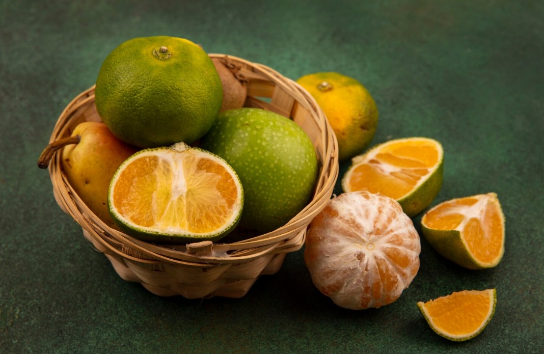 WhatsApp Image 2024 08 06 at 10.33.50 AM