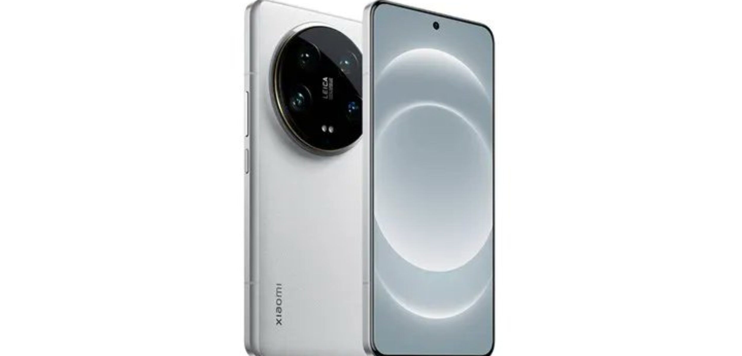 WhatsApp Image 2024 08 07 at 1.56.46 PM