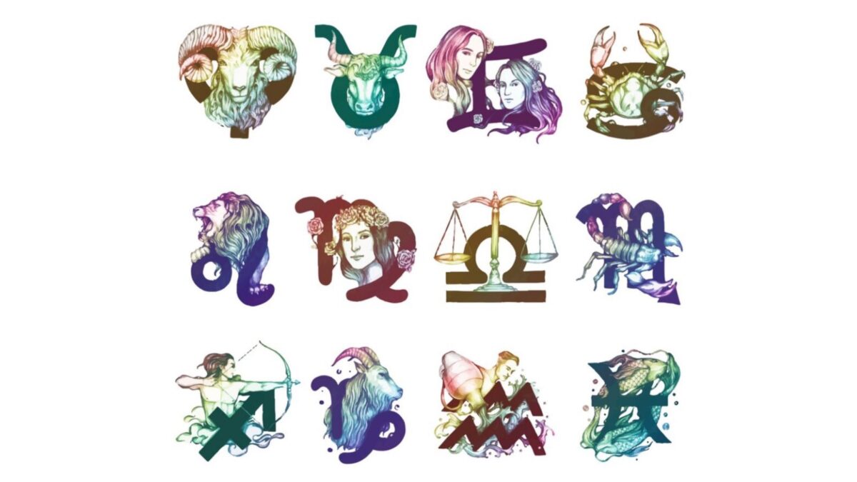 WhatsApp Image 2024 08 07 at 2.36.15 PM