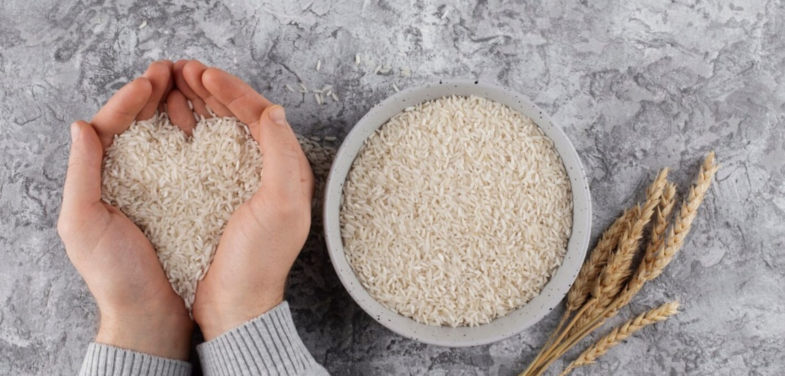 WhatsApp Image 2024 08 12 at 9.59.10 AM