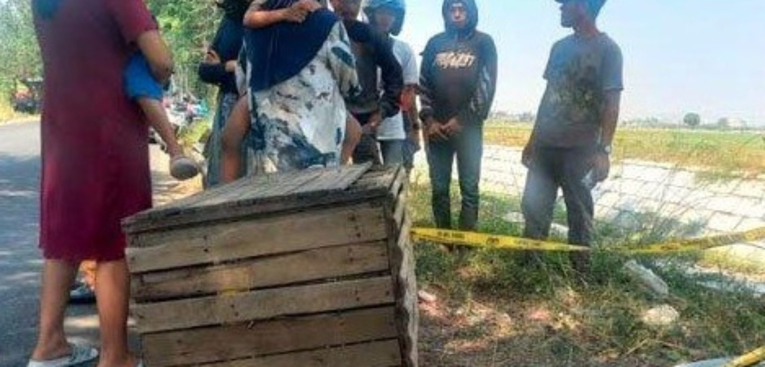 WhatsApp Image 2024 08 13 at 8.15.37 AM