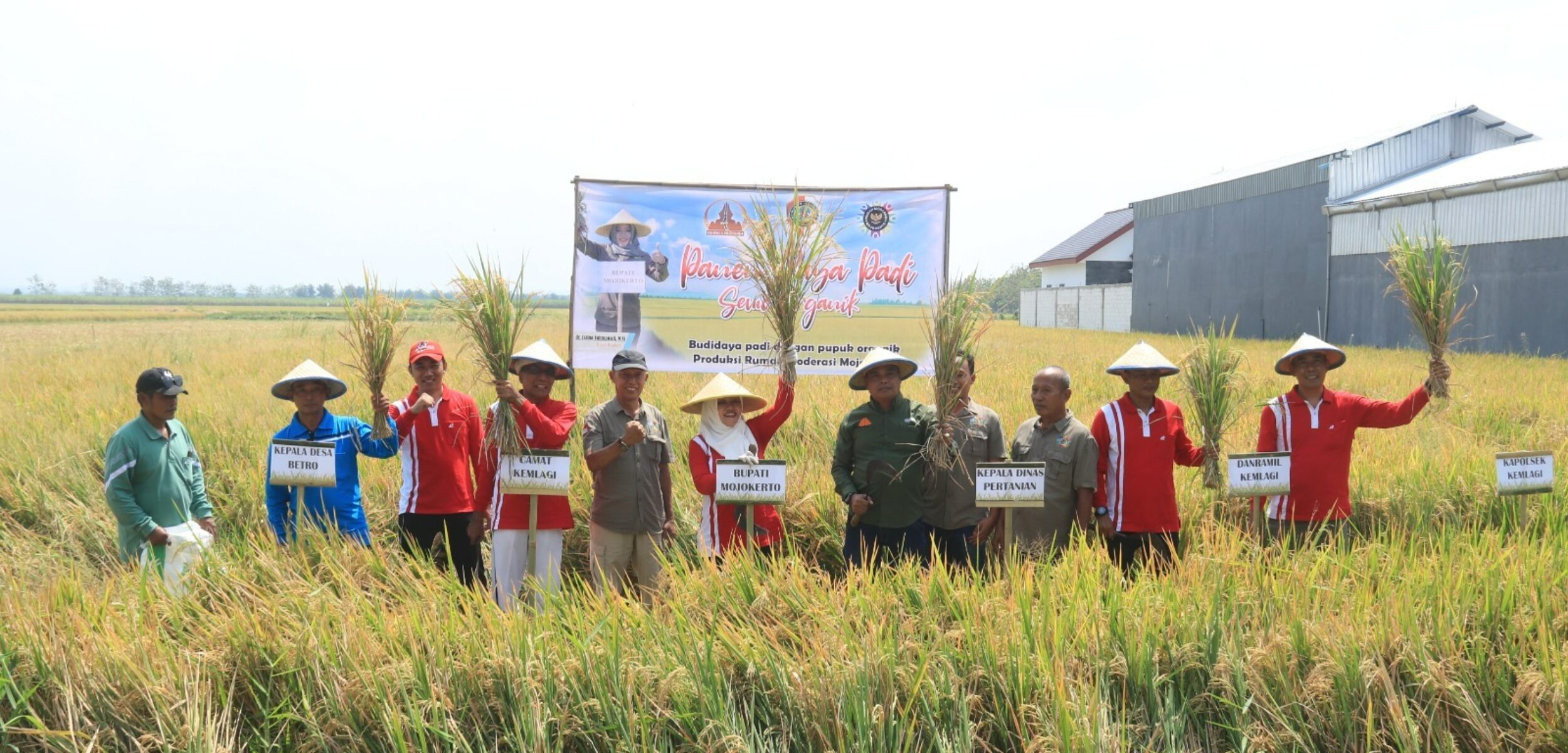 WhatsApp Image 2024 08 13 at 9.14.41 AM