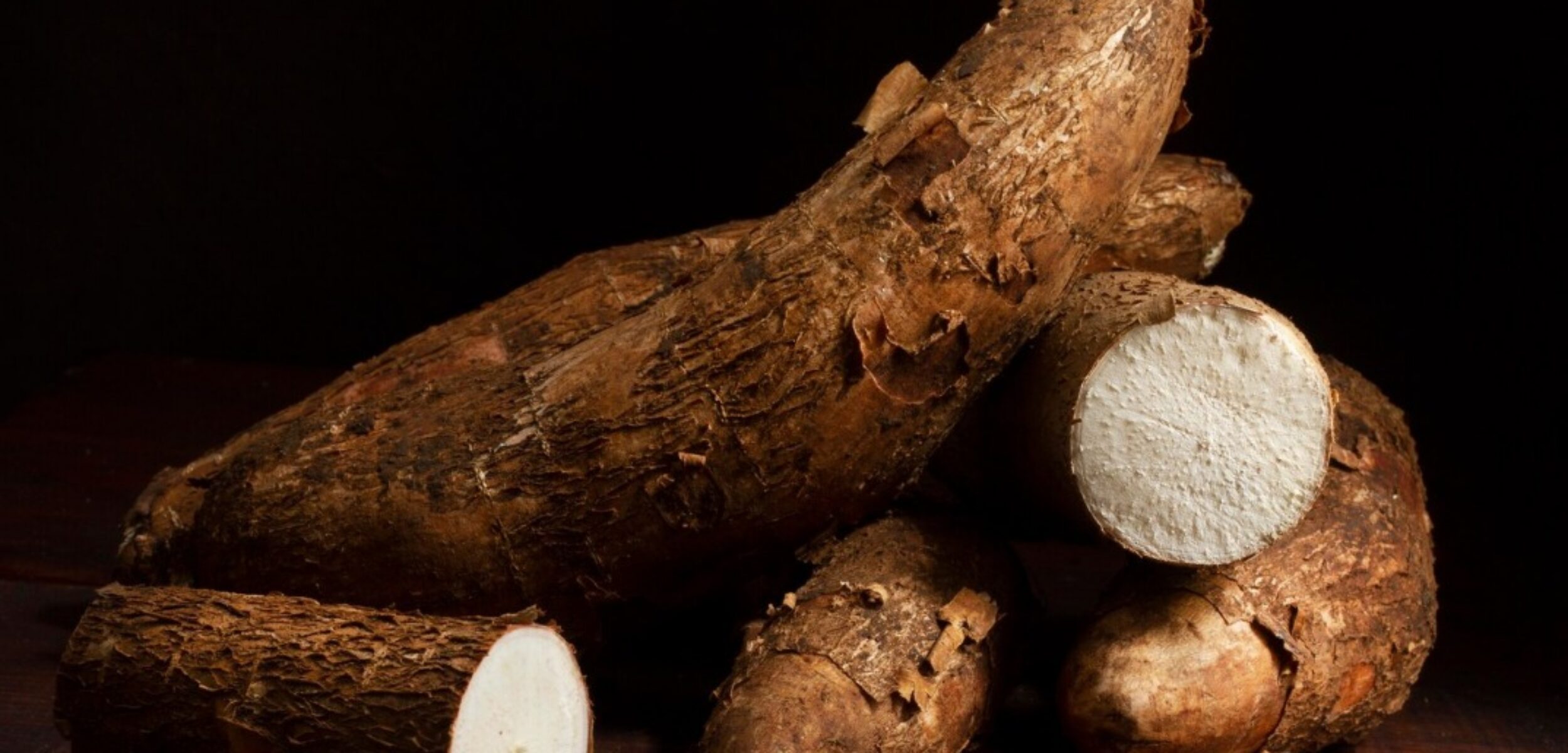 WhatsApp Image 2024 08 13 at 9.39.49 AM